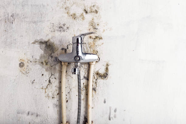 Best Office Mold Removal Services  in Mountain View Acres, CA