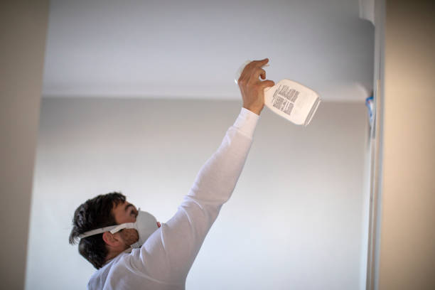 Best Fast Mold Removal  in Mountain View Acres, CA