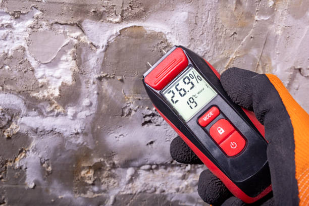 Mold Testing and Removal in Mountain View Acres, CA