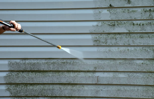 Best Certified Mold Removal  in Mountain View Acres, CA
